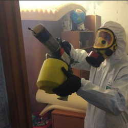 Уничтожение клопов в квартире. Мыски